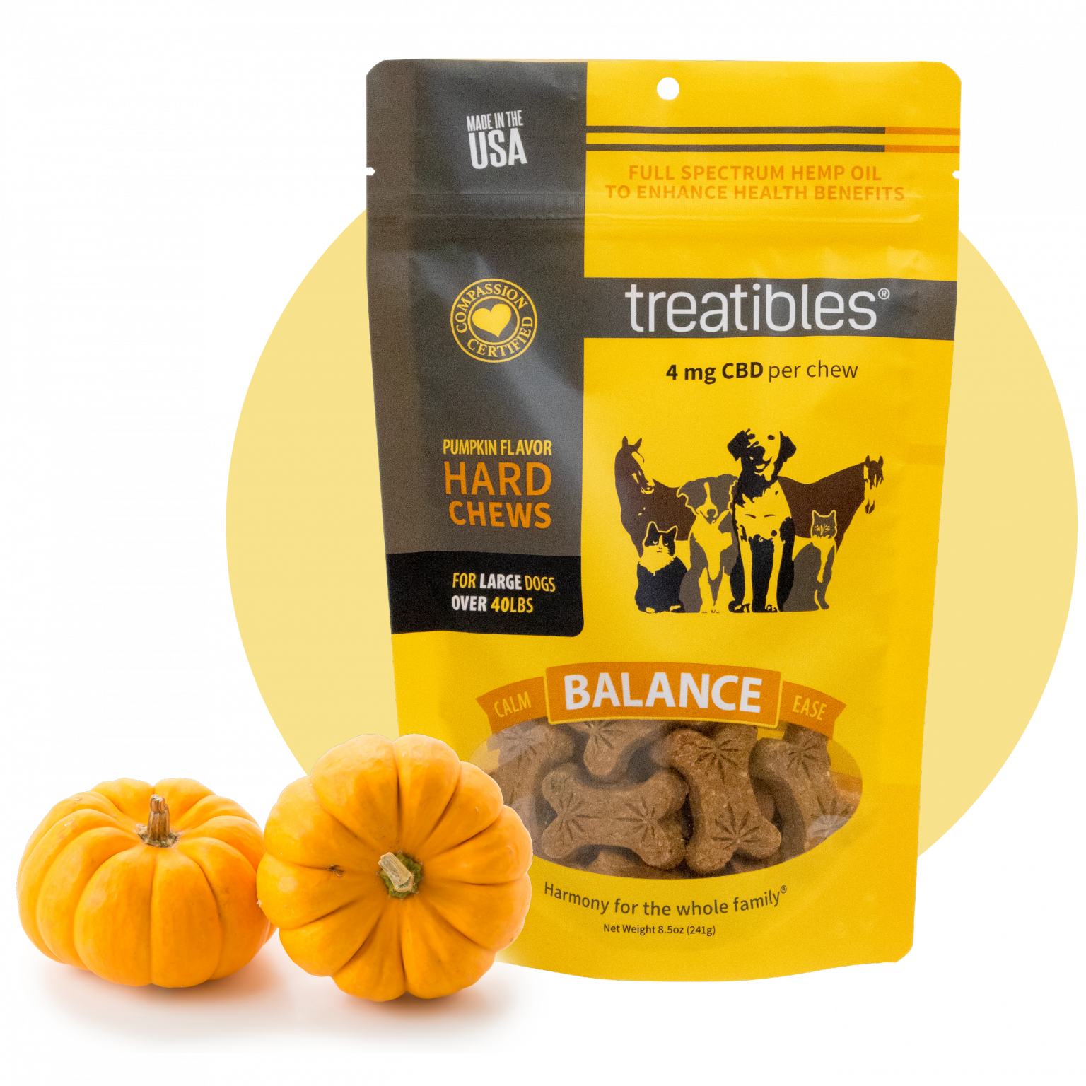 Large Pumpkin Dog Treats